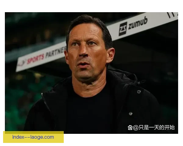本菲卡战绩不佳主帅施密特遭解雇引发球队震动